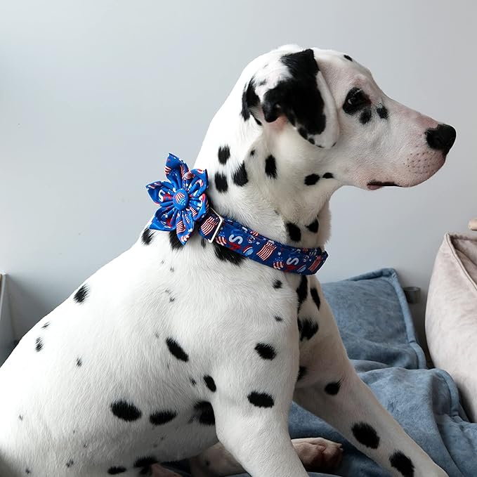 Lionet Paws Patriotic Female Dog Collar with Flower, 4th of July, Soft and Comfortable Adjustable American Flag Collar for X-Large Dogs, Neck 16-26 inches