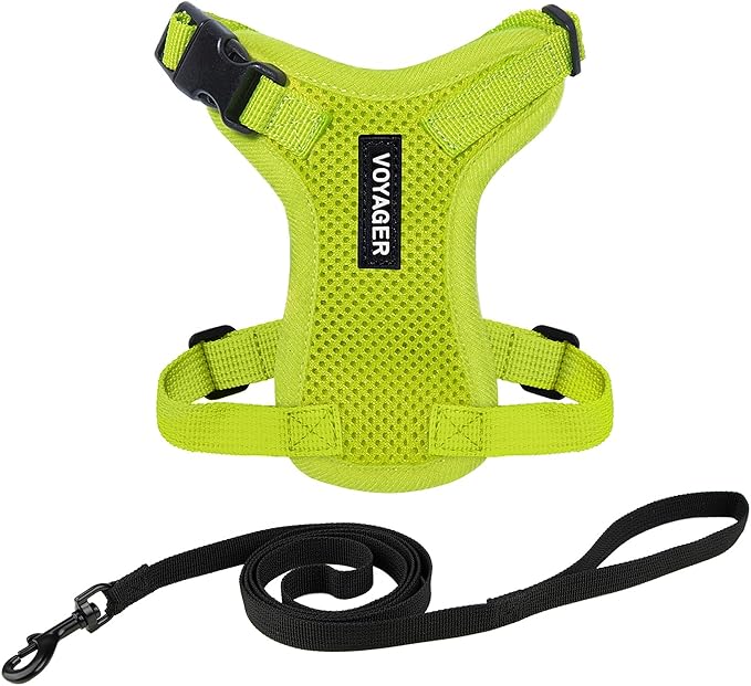Voyager Step-in Lock Adjustable Cat Harness w. Cat Leash Combo Set with Neoprene Handle 5ft - Supports Small, Medium and Large Breed Cats by Best Pet Supplies - Lime Green, S