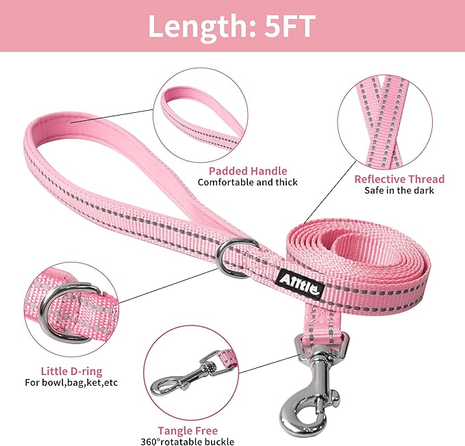 AIITLE Soft Mesh Dog Harness and Leash Set - No Pull Step in Dog Harness with Super Breathable Mesh, Reflective Adjustable Pet Harness for Outdoor Walking, Training for Large Dogs Pink L