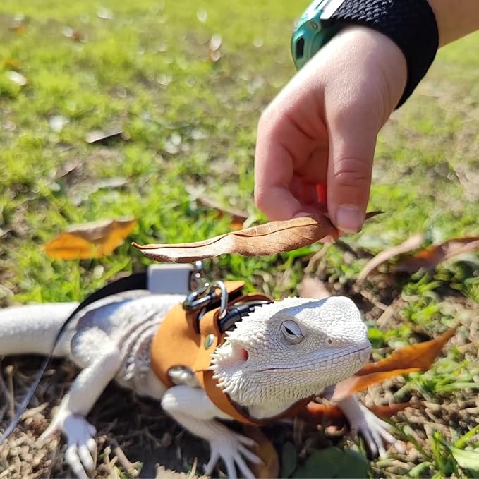 Bearded Dragon Harness and Leash Set, Adjustable Harness Soft Leather-3 Sizes (S, M, L) with Leash, Lizard Reptile Traction Rope Walking Vest Accessories for Bearded Dragon, Iguana or Gecko (Brown)