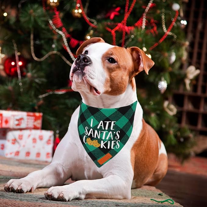 PTDECOR 2 Pack Dog Christmas Bandanas, Classic Red Green Plaid Pet Scarf Triangle Bibs Kerchief Christmas Bandanas for Large and Extra Large Dogs Pets (X-Large)