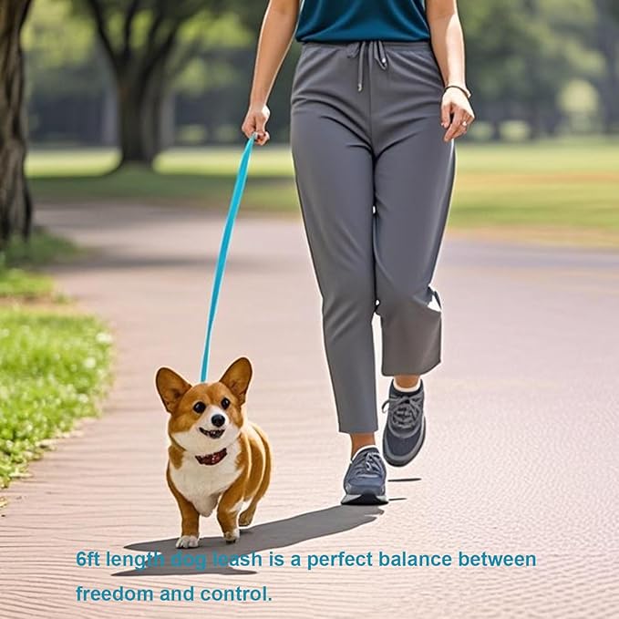 6 FT Puppy Leashes, Strong Traditional Style Leash with Easy to Use Collar Hook,Dog Lead Great for Small and Medium and Large Dog (Mint Blue, 5/8 in x 6 ft)