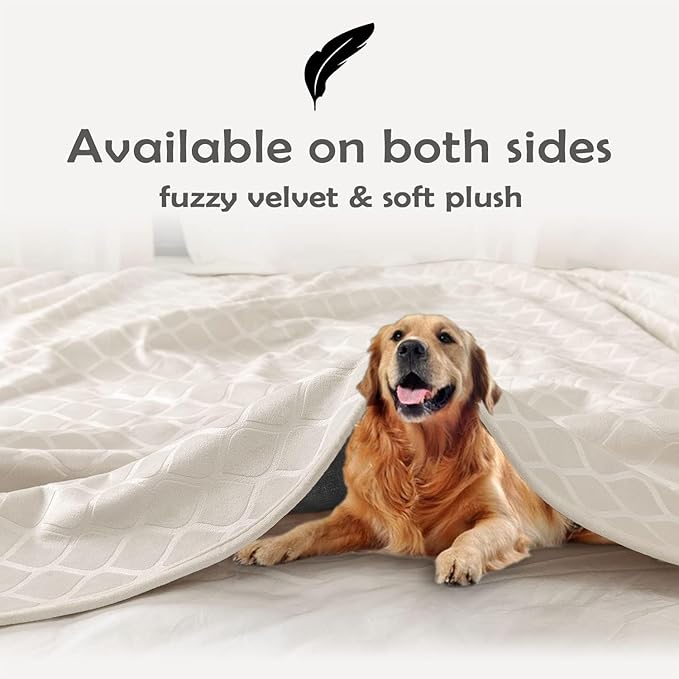 fuguitex Waterproof Dog Blanket Bed Cover Dog Crystal Velvet Moroccan Fuzzy Cozy Plush Pet Blanket Throw Blanket for Couch Sofa(52 * 82 inch, Cream+Sand)