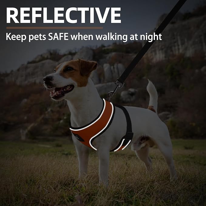 PUPTECK Soft Mesh Dog Harness and Leash Set Pet Puppy Cat Comfort Padded Vest No Pull Harnesses, Solid Orange, M