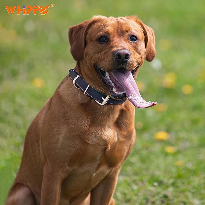 WHIPPY Leather Dog Collar for Medium Large Dog Adjustable Soft Leather Padded Puppy Collar with Alloy Buckle Heavy Duty Waterproof Classic Dog Pet Collar