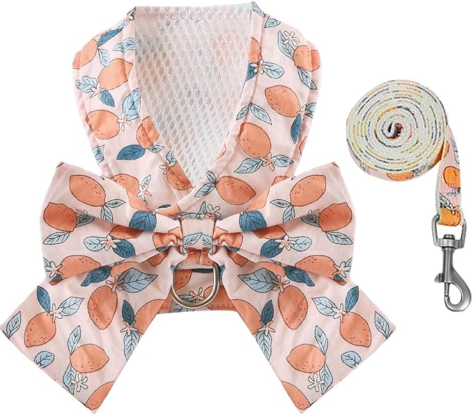 BAEJMJK Dog Harness and Leash Set with Bow Knot No Pull Pet Floral Harness with D-Ring Soft Mesh Dog Harness Vest Set Escape Proof Princess Puppy Harness for Small Girl Dogs Cats(Orange L)