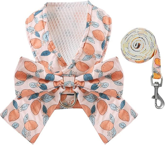BAEJMJK Dog Harness and Leash Set with Bow Knot No Pull Pet Floral Harness with D-Ring Soft Mesh Dog Harness Vest Set Escape Proof Princess Puppy Harness for Small Girl Dogs Cats(Orange L)