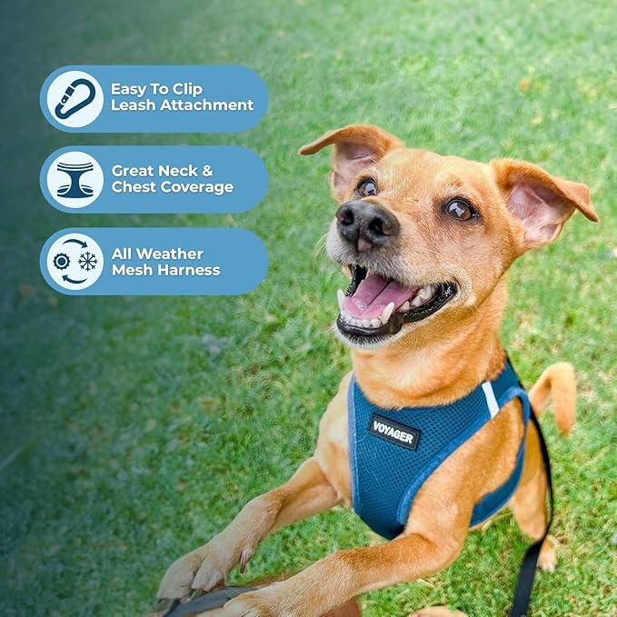 Voyager Step-in Air Cat Harness - All Weather Mesh Step in Vest Harness for Small and Medium Cats by Best Pet Supplies - Set (Turquoise), XXS