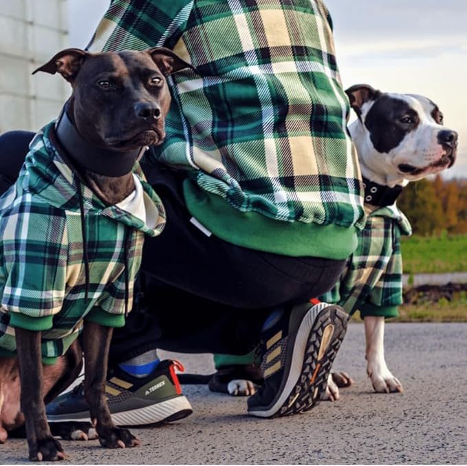 Spark Paws Dog Hoodie - Premium Quality, Buttery Soft, Superior Comfort and Fit, Calming Fleece Interior, Suitable for All Breeds - Green Plaid - L