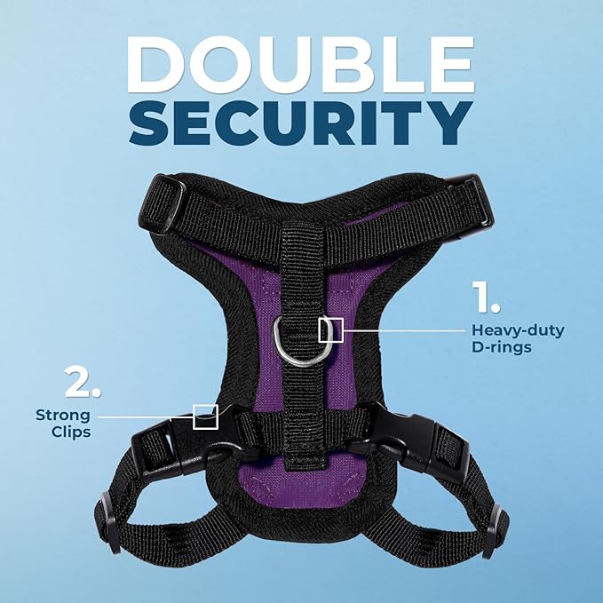 Voyager Step-in Lock Adjustable Cat Harness w. Cat Leash Combo Set with Neoprene Handle 5ft - Supports Small, Medium and Large Breed Cats by Best Pet Supplies - Purple/Black Trim, S