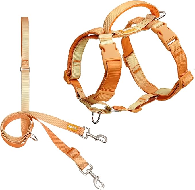 DF Martingale No Pull Dog Harness and Two Point Control Training Leash for Dog Walking Only Works with Martingale Harnesses, Orange, Chest 22"-28"