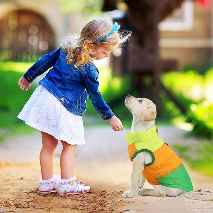 Idepet Pet Dog Cat Coat with Leash Anchor Color Patchwork Padded Puppy Vest Jacket Teddy Chihuahua Costumes Pug Cloth XS S M L (Medium (Pack of 1), Green)