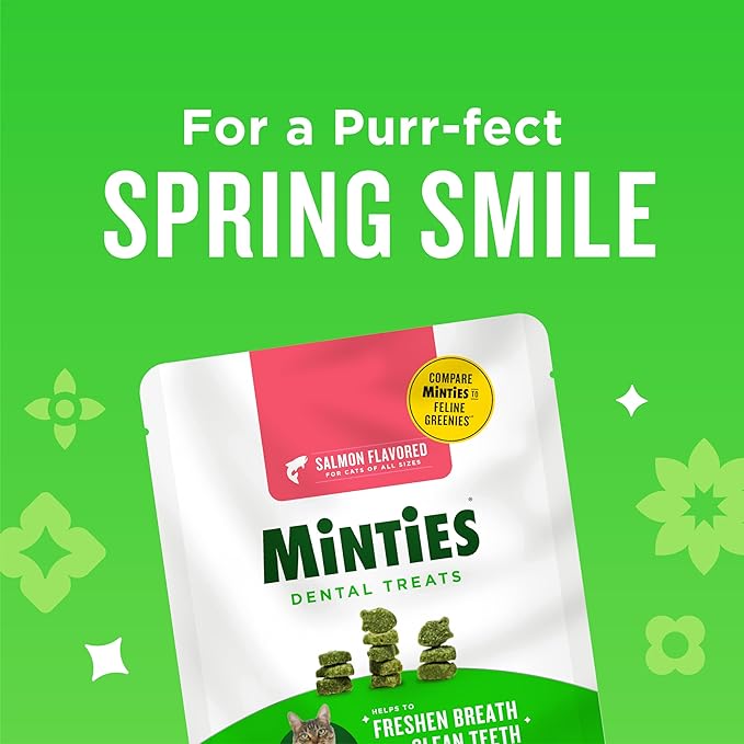 Minties Dental Treats for Cats, Salmon Flavored Treats for Cats, Freshens Breath and Controls Tartar, 10oz