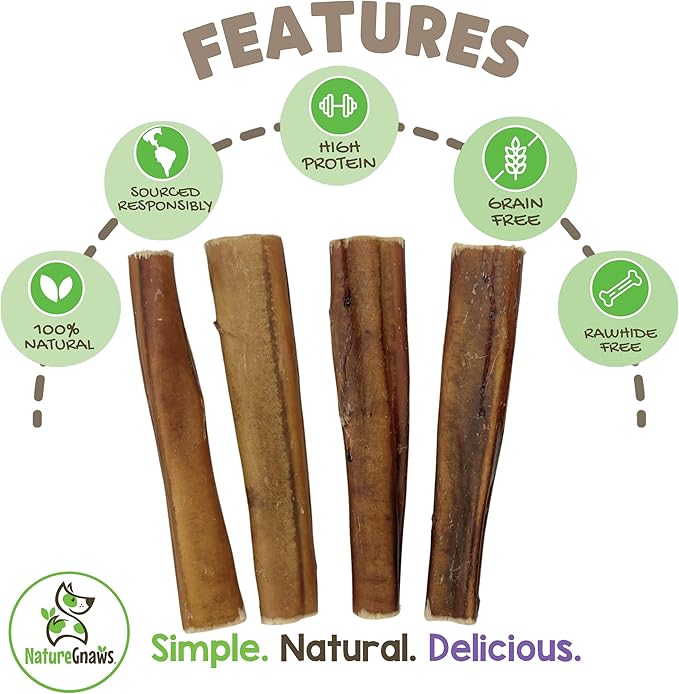 Nature Gnaws Extra Large Bully Sticks for Dogs 5-6" (3 Count) - Thick Long Lasting for Aggressive Chewers and Heavy Chewers - Natural Beef Dog Chew Bones