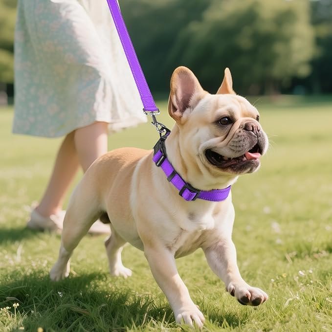 Joytale Reflective Dog Collar,Soft Neoprene Padded Breathable Nylon Pet Collar Adjustable for Medium Dogs,Purple,M
