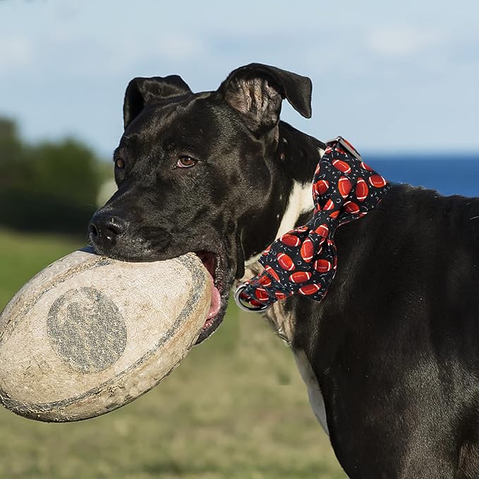 Lionheart Glory Dog Collar Bowtie - Adjustable Cotton Bow for Medium Dogs