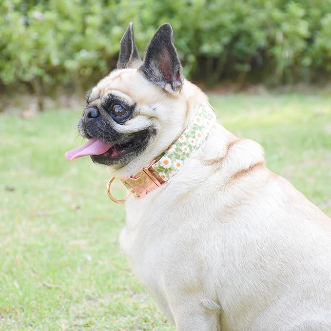 Metal Buckle Dog Collar, Durable Adjustable Dog Collar Soft for Small Medium Large Dogs (003-Green Flower, M(13-18in)