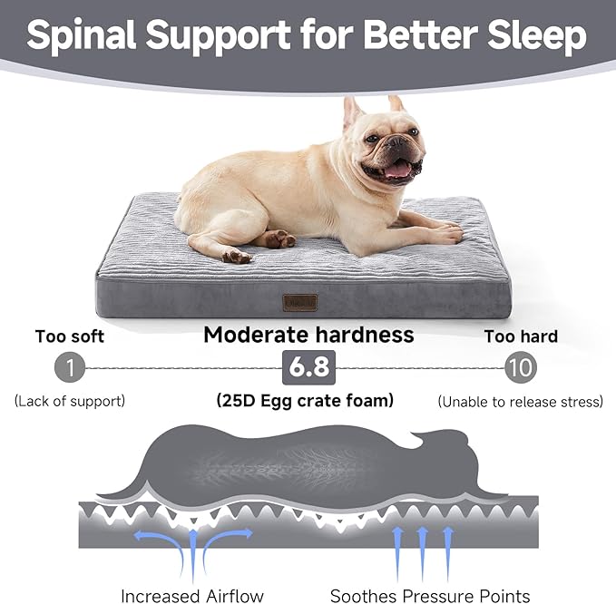 OhGeni Orthopedic Waterproof & Machine Washable Dog Bed for Small Medium Pets, Suitable for Crates, 25D Egg Crate Foam, Non-Slip Bottom & Removable Cover, Invisible Zipper, 30 Inches(Gray)