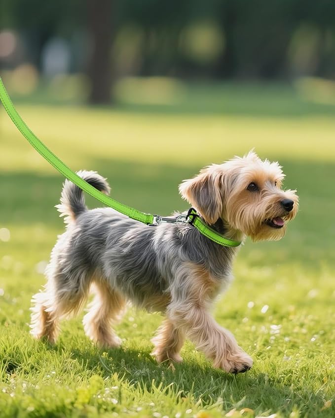 Joytale Small Dog Collar, Reflective and Adjustable Nylon Collar with Quick-Release Buckle, Lightweight No-Choke Design for Small Dogs, Green, 3/4" Width
