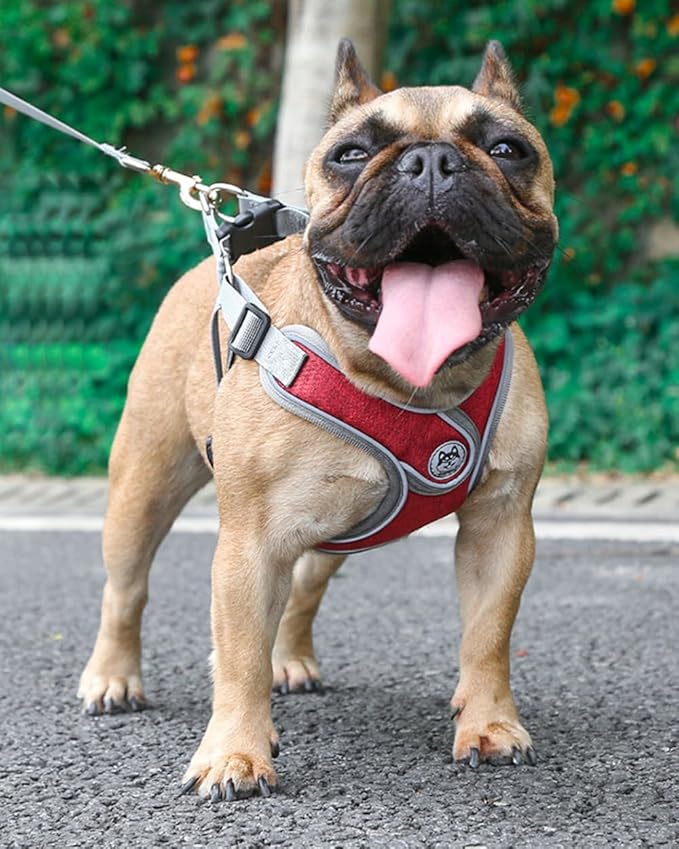 Large Dog Harness and Leash Set,No Pull Adjustable Step in Soft Mesh Vest Harness,Easy Walk Reflective Pet Harness with Padded Handle for Walking Training Small Medium Large Dogs and Cats (Red, L)