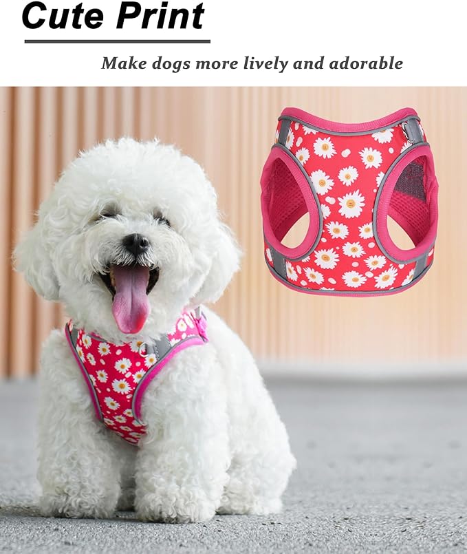 XXS ROSEO Flower Pattern Dog Harness and Leash Set,No Escape Puppy Harnesses for Training Walking,Breathable Adjustable Puppy Vest for Small Medium Dogs, Cats (ROSEO, XXS)