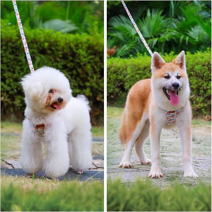 CHEDE No Pull Floral Pattern Dog Harness- Lightweight, Soft, Adjustable Small Harness and Leash Set, Suitable for Puppy Small and Medium-Sized Dog (M, Orange Rose)