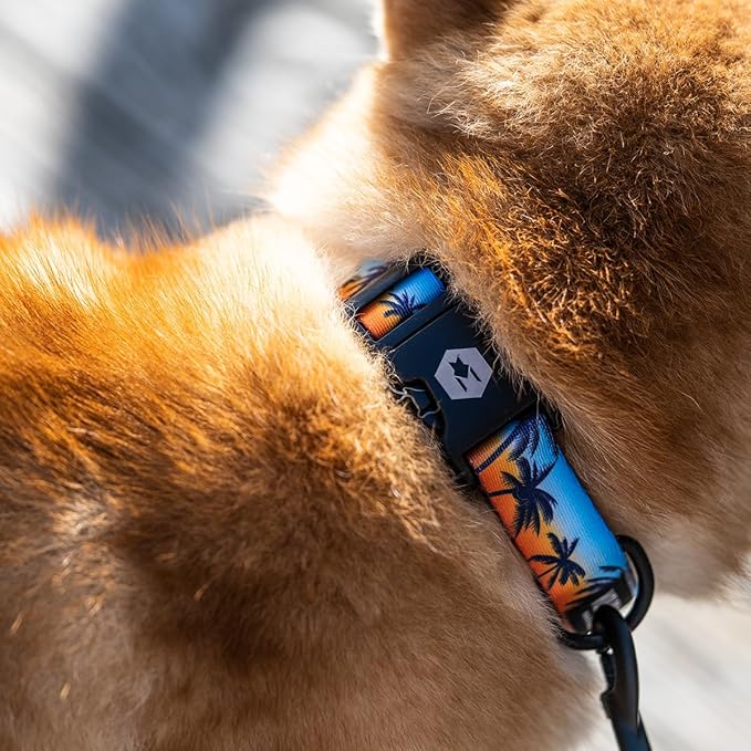 Wolfgang Heavy Duty, Adjustable Dog Collar with Quick Release Nylon Buckle for Walking & Training, SunsetPalms Print, Large