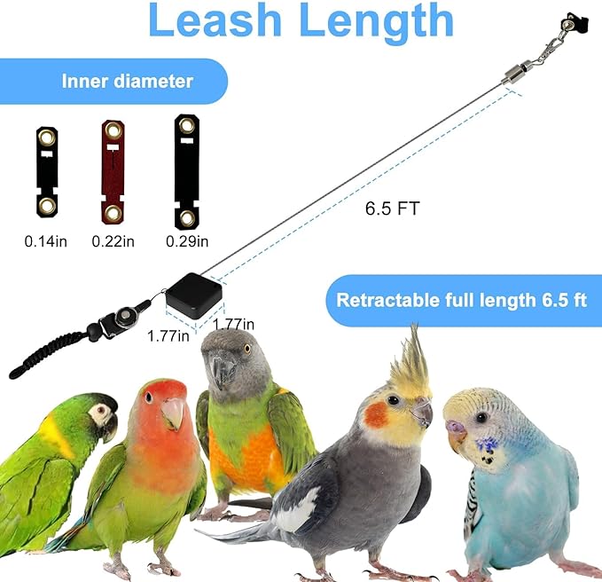 Bird Leash,Bird Harness,Retractable Anti-Bite Parrot Harness,with 3 Different Sizes of Soft Foot Ring,for Birds Outdoor Flight Training,for Budgies,Cockatiels,Psittacula Longicauda,Mini Macaws,6.5Ft