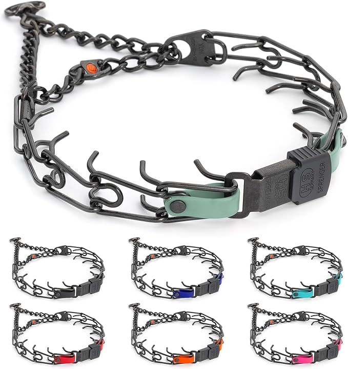 Herm Sprenger Black Stainless Steel Dog Collar with Quick Release ClicLock Buckle and Biothane Insert Training Collar Made in Germany (Sage Green, 23in x 3.2mm(Neck Size up to19-20in))