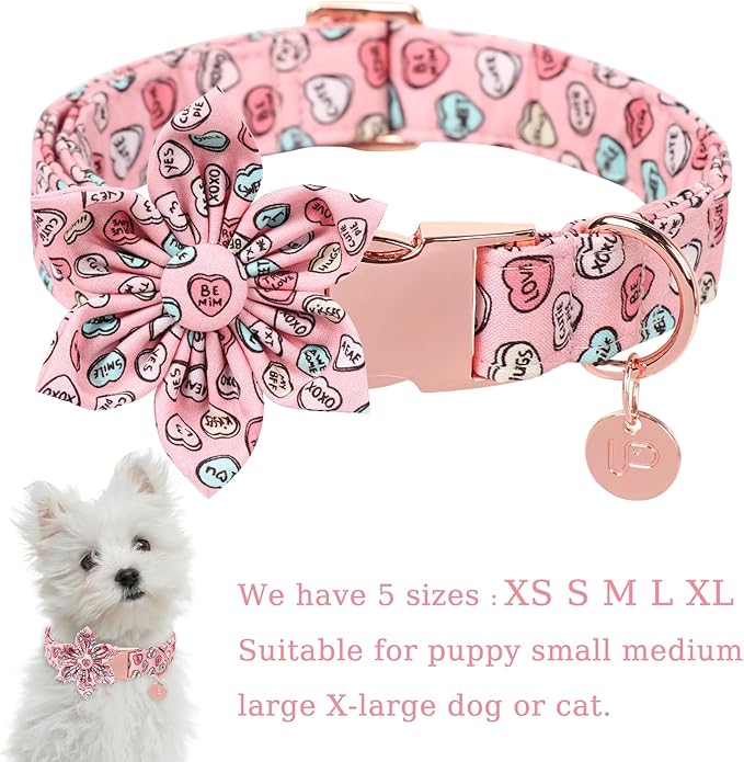 Valentine Dog Collar with Flower, Heart Flower Collar for Puppy Girl Boy Dog or Cat, Comfortable Dog Collar Flower with Durable Metal Buckle, Cute Pet Collar, S