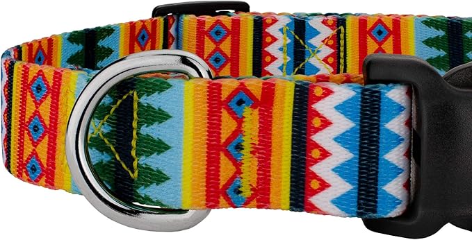 Country Brook Petz - Deluxe Summer Pines Dog Collar - Country and Western Collection Featuring Rustic Designs (1 Inch, Medium)