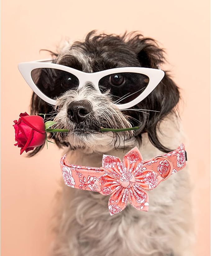 Lionheart Glory Valentine's Day Collar with Flower, Pink Collar with Bowtie for Small Dogs