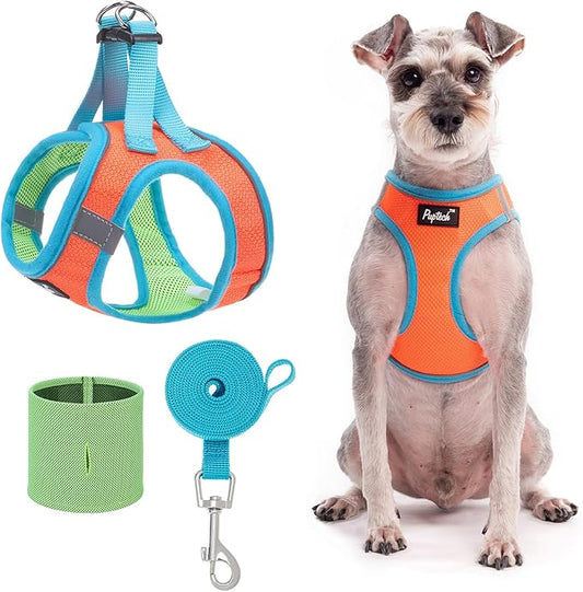 PUPTECK Adjustable Dog Harness Collar and Leash Set Step in No Pull Pet Harness for Small Medium Dogs Puppy and Cats Outdoor Walking Running, Soft Mesh Padded Reflective Vest Harnesses, OrangeRed L