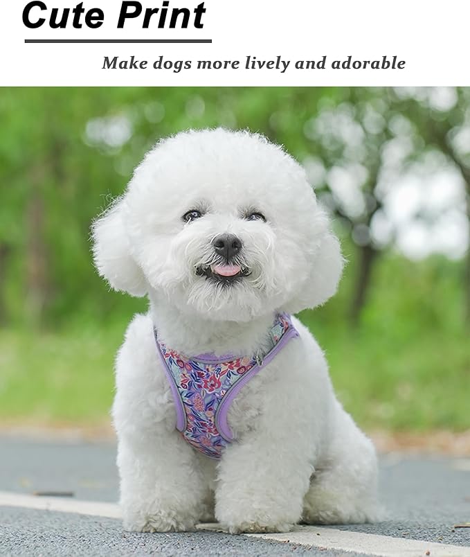 XS Light Purple Flower Pattern Dog Harness and Leash Set,No Escape Puppy Harnesses for Training Walking,Breathable Adjustable Puppy Vest for Small Medium Dogs, Cats (Light Purple, XS)