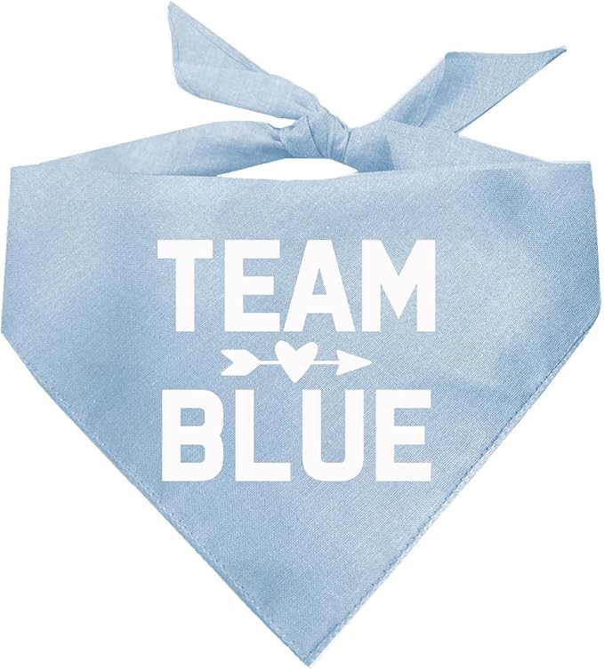 Team Blue | 100% Cotton Adjustable Triangle | Made in USA | Pregnancy Announcement Photoshoot Prop | New Baby | Gender Reveal | Baby Blue X-Small (210)