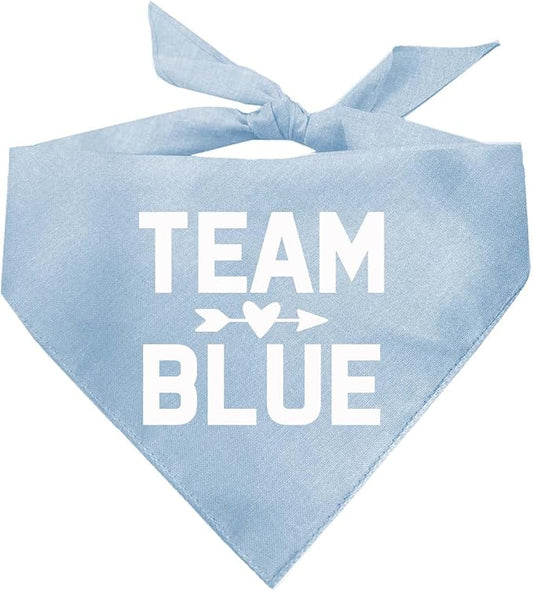 Team Blue | 100% Cotton Adjustable Triangle | Made in USA | Pregnancy Announcement Photoshoot Prop | New Baby | Gender Reveal | Baby Blue X-Small (210)