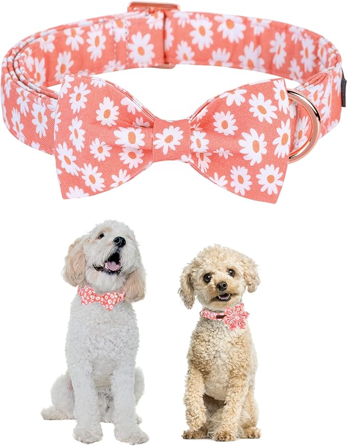 Unique style paws Dog Collar with Bow Tie Pink Daisy Summer Dog Collar for Small Medium Large Dogs with Adjustable Metal Buckle -M