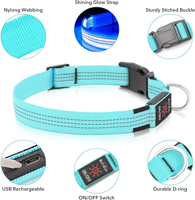 Illumifun LED Dog Collar, Reflective Light Up Collars for Small Dog, USB Rechargeable Pet Collar Light for Dogs Walking Camping (BlueⅢ, Small)
