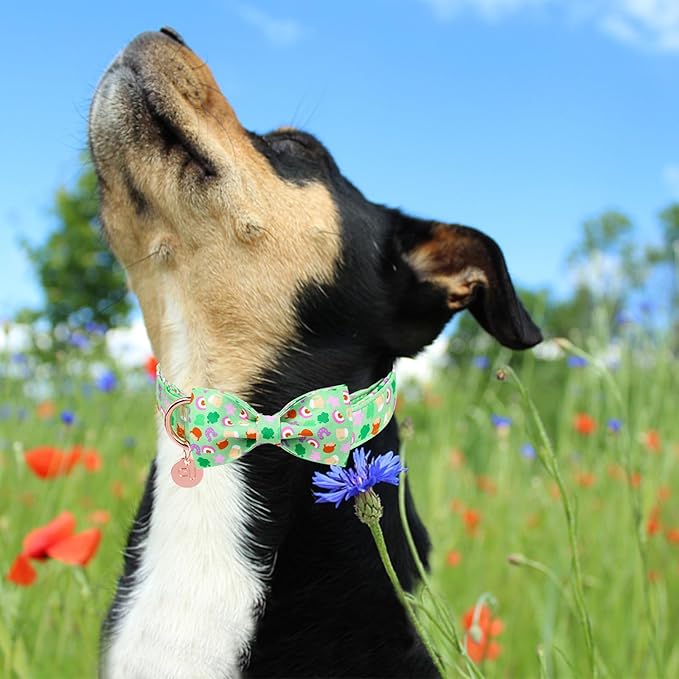 St. Patrick's Dog Collar with Bow Tie, Cotton St. Patrick's Bowtie Collar for Girl Boy Dog, Lucky Shamrock Dog Collar with Metal Buckle, Green, Spring, S