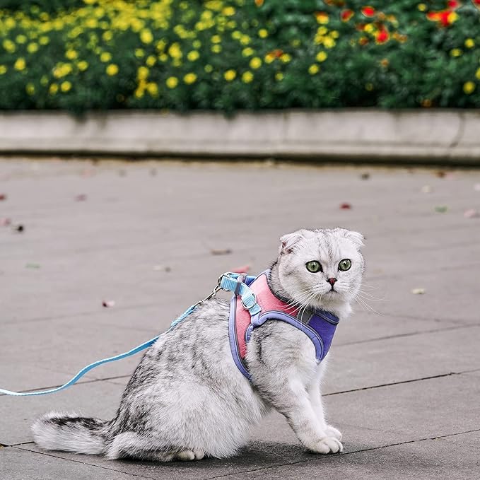 JSXD Cat Harness,Leash and Collar Set,Escape Proof Kitten Vest Harness for Walking,Easy Control Night Safe Pet Harness with Reflective Strap and Bell for Small Large Kitten,Fit for Puppy,Rabbit
