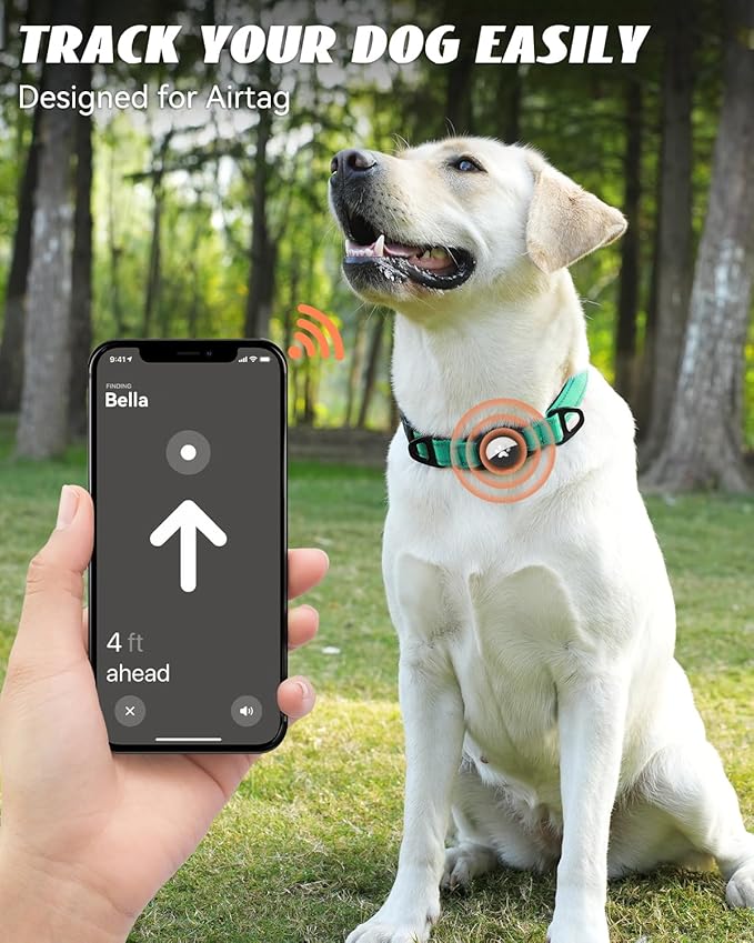 Joytale Airtag Dog Collar, Dual D-Rings, Reflective Pet Collar with Waterproof AirTag Holder, Soft Padded Adjustable for Medium Dogs, Teal, M