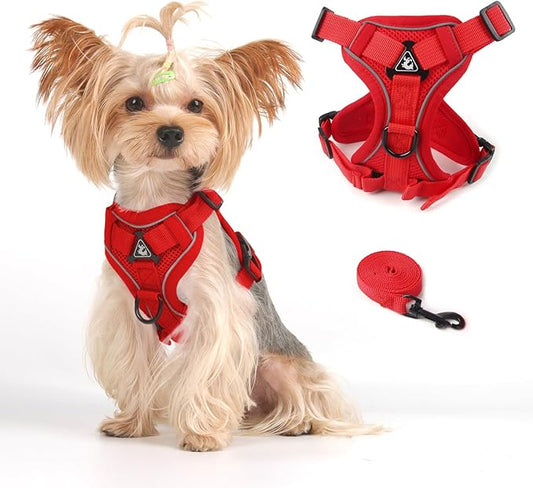 Vest Harness Leash Set for Small Dog Large Cat Outdoor Walking, Upgraded Escape Proof Adjustable Jacket with Lead for Puppy Fat Cat, Soft Breathable Mesh Coat with Reflective Strip, XL Red