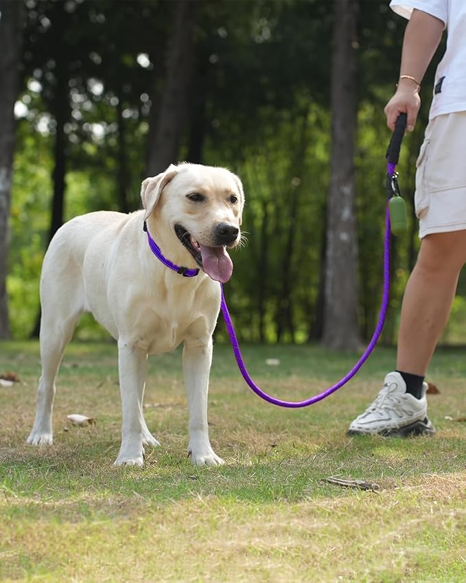 Joytale Reflective Dog Leash, Heavy Duty Nylon Rope with Poop Bag Holder, Highly Reflective Threads Leashes for Medium Large Dogs, Purple, 6'×1/2''