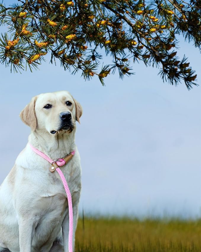 lynxking 5 FT Dog Leash Slip Lead 2 Pack Strong Heavy Duty Braided Dog Training Leash No Pull Training Lead Leashes for Medium Large and Small Dogs