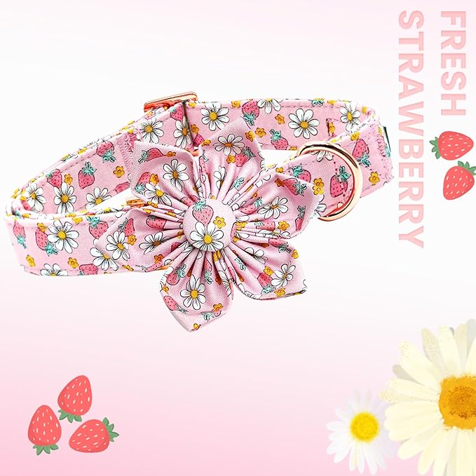 Lionheart glory Dog Collar Flower Collar Pink Dog Collar with Flower Spring Summer Cute Collar Dog Female Soft Durable Adjustable Dog Collars for Small Dogs, B:Strawberries