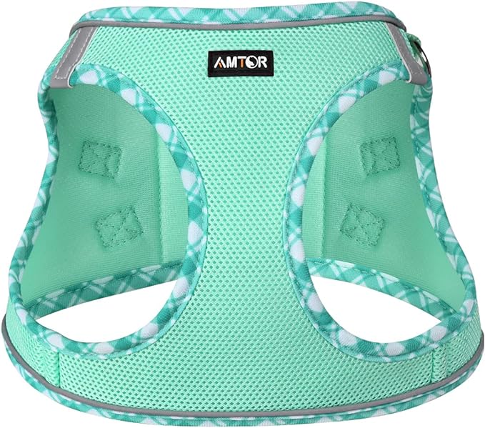 AMTOR Small Dog Harness with Leash Set, No Escape Easy Walk Puppy Harnesses for Training Walking, Step-in Reflective Soft Dogs Vest for XS S Medium Extra-Small Large Sized Dog(Green,L)