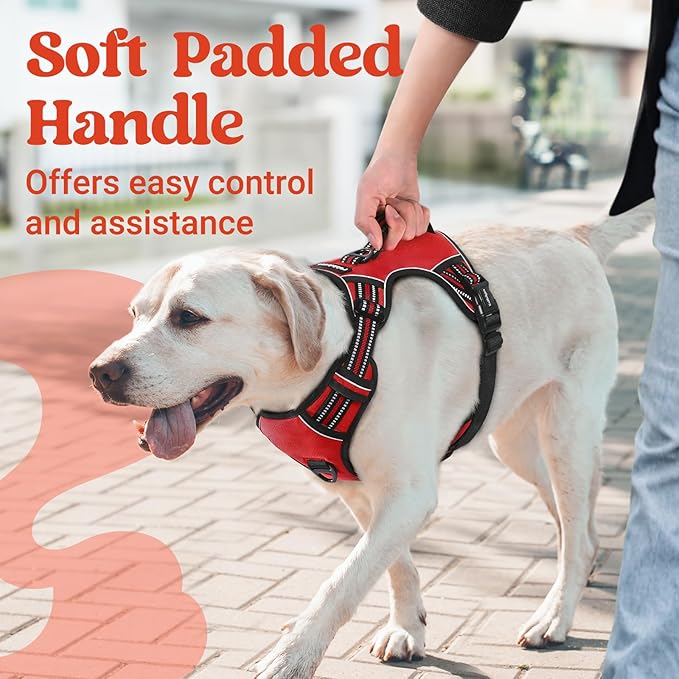 rabbitgoo Dog Harness for Large Dogs, No Pull Pet Harness with Soft Padded Handle, Adjustable Reflective Vest with 3 Buckles, Easy Walking Harness with 2 Leash Clips, Red, L