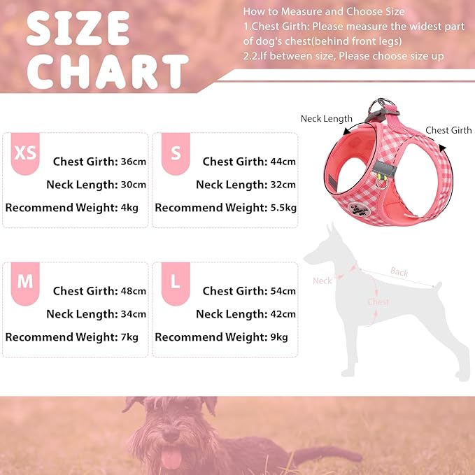 Gyuzh Dog Harness and Leash Set,Soft Mesh Breathable Small Dog Harness,Reflective Adjustable Puppy Harness,No Pull Pet Harness for Small Dogs and Cats