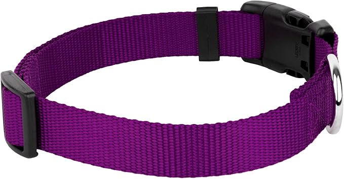 Country Brook Petz - American-Made Dog Collar for Large, Medium, and Small Dogs and Puppies - Deluxe Heavy Duty Nylon in 33 Dazzling Colors (Large, 1 Inch Wide, Purple)