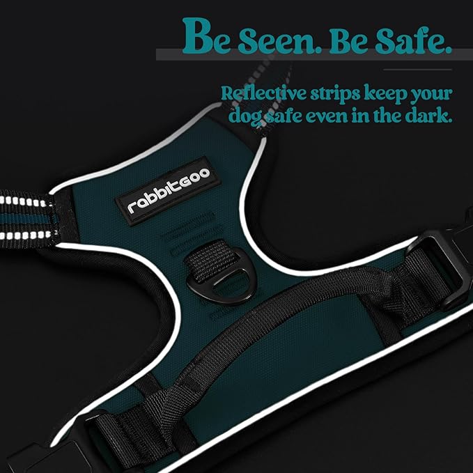 rabbitgoo Dog Harness No Pull with 2 Leash Clips, Adjustable Soft Padded, Reflective Oxford No Choke Pet Vest with Easy Control Handle for Small Dogs, Blue Coral, S